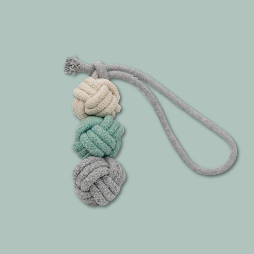 Mint Ice Cream Rope Balls Puppy Tug Toy